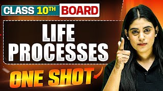 WARRIOR 2025 LIFE PROCESSES in 1 Shot FULL CHAPTER Theory  PYQs  Class 10th Boards [upl. by Cheadle]