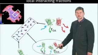 Microscopy Fluorescence Lifetime Imaging Microscopy FLIM Philippe Bastiaens [upl. by Marven]