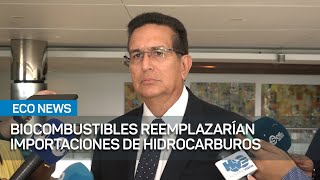 Proyecto de biocombustible sustituiría 100 millones en importaciones de hidrocarburos  EcoNews [upl. by Reina552]