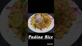 5 minutes recipe Making pudina Rice😋northindianrecipes [upl. by Innep]