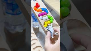 Marble runs with extremely rolling slopes marblerun marblerunrace asmr [upl. by Yager]