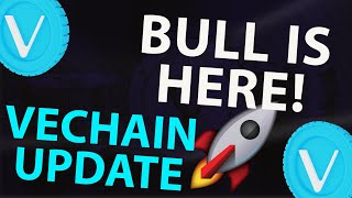 VECHAIN BULL IS HERE  VECHAIN 2 MINUTE UPDATE  VET PRICE PREDICTION  VET ANALYSIS [upl. by Akinohs596]