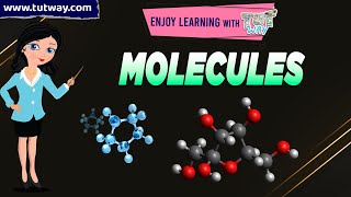 Molecules  What are Molecules  Examples of Molecules  Molecules amp Element  Science [upl. by Koressa508]