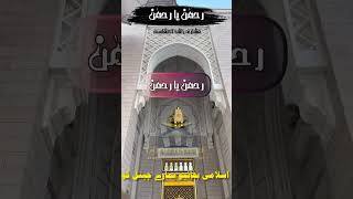 Rahman Ya Rahman  Mishary Rashid Al Afasy Nasheed  beutiful and famous Nasheed 3 [upl. by Borchert]