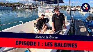 🏝 La Réunion  Épisode 1  Les baleines 🐳 [upl. by Hackney]