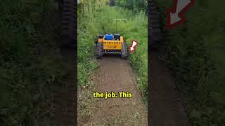 this man finds best Grass Trimmers machine shortsviral satisfying cars [upl. by Urd]