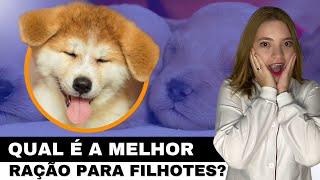 Melhores rações para filhotes de cães e gatos [upl. by Jean297]