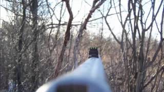 Deer Behavior In Swamps and Funnels  Late Season Deer Hunting [upl. by Anoel532]