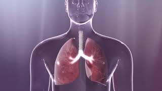 Quels facteurs affectent lespérance de vie avec la fibrose pulmonaire [upl. by Assehc]