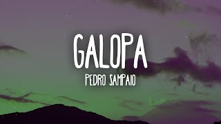 PEDRO SAMPAIO  GALOPA LetraLyrics [upl. by Godber216]