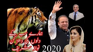 Hamary sab kay dilon ki dharkan nawaz sharif song [upl. by Adne]