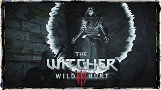 Wanderung im Dunkeln 🐺 ✦ THE WITCHER 3 WILD HUNT 17 ✦ Lets Play [upl. by Knute18]