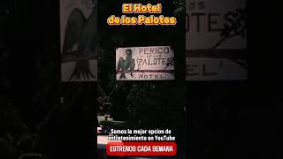 El Hotel de los Palotes Pura diversion cine peliculasmexicanas series [upl. by Rambow]