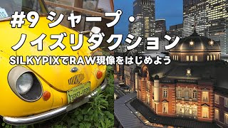 SILKYPIXでRAW現像をはじめよう 9 シャープ・ノイズリダクション [upl. by Ilah]