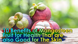 TIPS  06  10 Benefits of Mangosteen Fruit for Health That are also Good for The Skin [upl. by Yatnwahs]