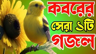 খুবই দুঃখের মরমী কণ্ঠে কবরের সেরার সেরা ১টি গজলbest emotionalকবর যেদিন ডাকবে আমায় সকাল সন্ধা বেলা [upl. by Drarrej]