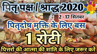 Pitru Paksha 2020 Start Dateश्राद्ध 2020 में पित्तरों की संतुष्टि के लिए घर में करें ये उपायShradh [upl. by Holihs]