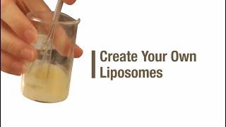 Create your own liposomes [upl. by Lemuelah547]