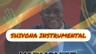 Harmonize MagufuliinstrumentalBy shivona [upl. by Nilde900]