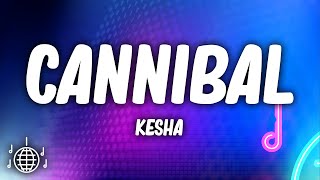 Kesha  Cannibal Lyrics [upl. by Joktan801]