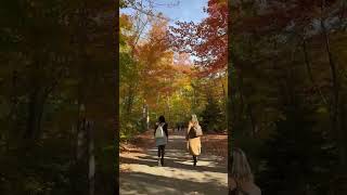 Killarney Provincial Park canada walkingtour fyp travel fallseason nature [upl. by Ledua]