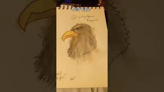 Bald Egle Spirographave request  fypシ゚ art artdrawing drawing animals song music  ★ [upl. by Nek917]