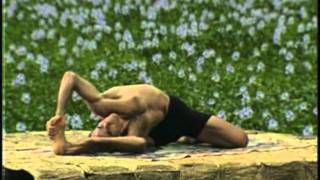 Four Seasons Maui Ashtanga Yoga Retreats David Swenson [upl. by Ahtilat]