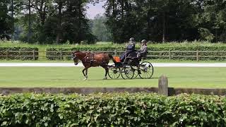 Fahrturnier Riesenbeck 2552024 [upl. by Dinnie]