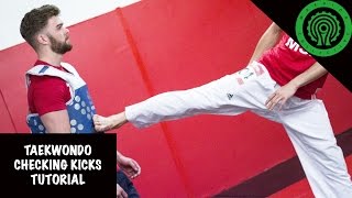 Taekwondo Checking Kicks Tutorial [upl. by Carper]