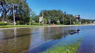 Flooding woes remain in Apopka days after Hurricane Milton [upl. by Swan]