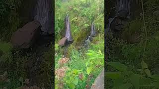 forestriversounds waterfall riversoundsfordeepsleep meditationsounds riversoundsforsleeping [upl. by Leba48]