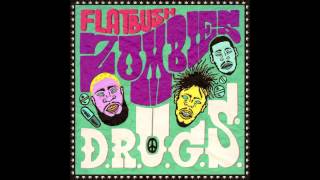 Flatbush Zombies  Mary Nothing Above Thee Prod By Erick Arc Elliott [upl. by Eadnus834]