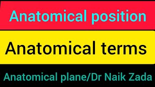 anatomical positionanatomical position and directional terms anatomical position and terms in urdu [upl. by Mayman]