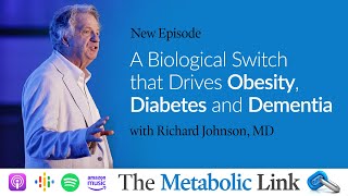 A Biological Switch that Drives Obesity Diabetes and Dementia  The Metabolic Link Ep 39 [upl. by Eendyc180]