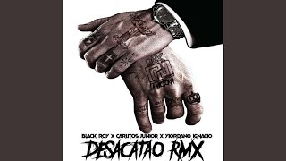 Desacatao Remix [upl. by Arch848]