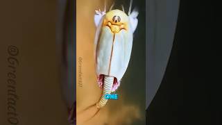 The Strangest Creatures on Earth Part 1 shorts viral [upl. by Oruam687]