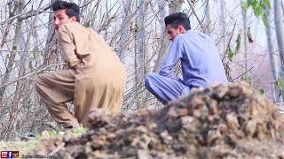 Buner Vines New Video 2019Govt Tex Of Pakistan [upl. by Jena]