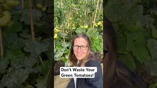 What to do with green tomatoes growveg growingveg gardening [upl. by Learsi756]