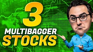 3 Stocks To Buy With Potential Multibagger Returns [upl. by Terti358]