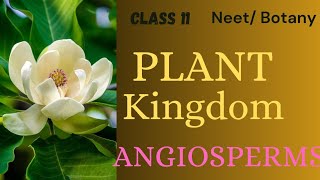 NEET PLANT KINGDOM  ANGIOSPERMS  CLASS11viralvideo neet ncert youtube youtubeshorts [upl. by Ludvig]