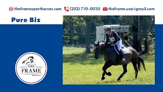 Pure Biz  CDCTA Horse Trials Cross Country [upl. by Ylicis287]