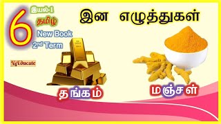 இன எழுத்துகள்  6th 2nd Term இயல்  1 இலக்கணம்  Ina Eluthukkal in Tamil [upl. by Eednil]