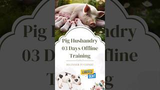 Pig Farming Offline Training in Telangana Mar 2024  Book Your Seat Now swastikpigfarm piggery [upl. by Asseniv]