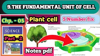 Plant Cell  Plant Cell Structure  Cell [upl. by Miner]