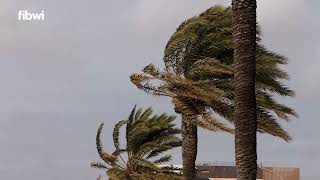 La AEMET mantiene la alerta naranja por fuertes lluvias en Mallorca y las Pitiusas [upl. by Melone]