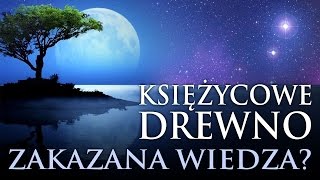 KSIĘŻYCOWE DREWNO  UKRYTA WIEDZA O DRZEWACH I DREWNIE NA NOWO ODKRYTA BaldTV [upl. by Milford]