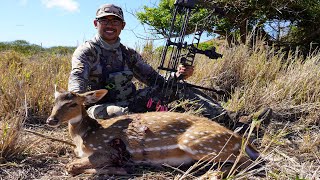 Lanai Archery State Hunt 2021  Part 3 [upl. by Turro529]