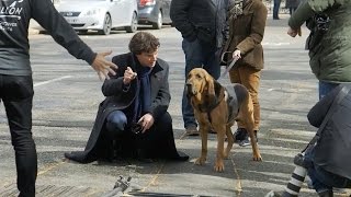 Filming With The Dog  Sherlock [upl. by Cally495]