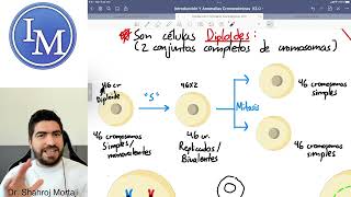 Ciclo Celular  Mitosis [upl. by Sherr]