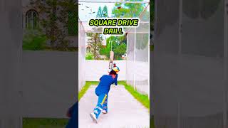 Square Drive Drill 🏏cricket cricketskill batting cricketshots cricketfans [upl. by Leontina]